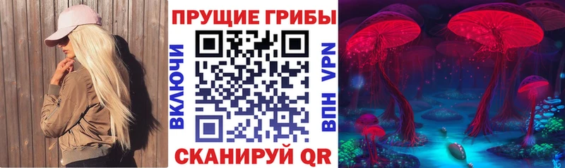 Галлюциногенные грибы Psilocybe  Камбарка 